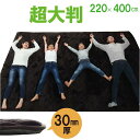 【最大20%OFFクーポン配布&P5倍】大型 ラグマット/こたつ敷布団 【ブラウン 約220×400cm】 長方形 防滑 〔リビング ダイニング〕【代引不可】