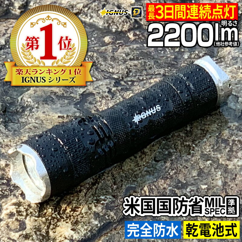 懐中電灯 最強 防水 イグナス キングジョージ2 フラッシュライト LED懐中電灯 電池式 防災 強力 LEDライト 【あす楽】