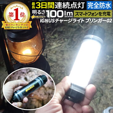 【クーポンで最大20%OFF】 充電式投光器 懐中電灯 防水 充電式 最強 作業灯 ワークライト イグナス ブリンガー ゼロワン 白色光 LEDライト led ハンディライト 蛍光灯 投光器 【あす楽】