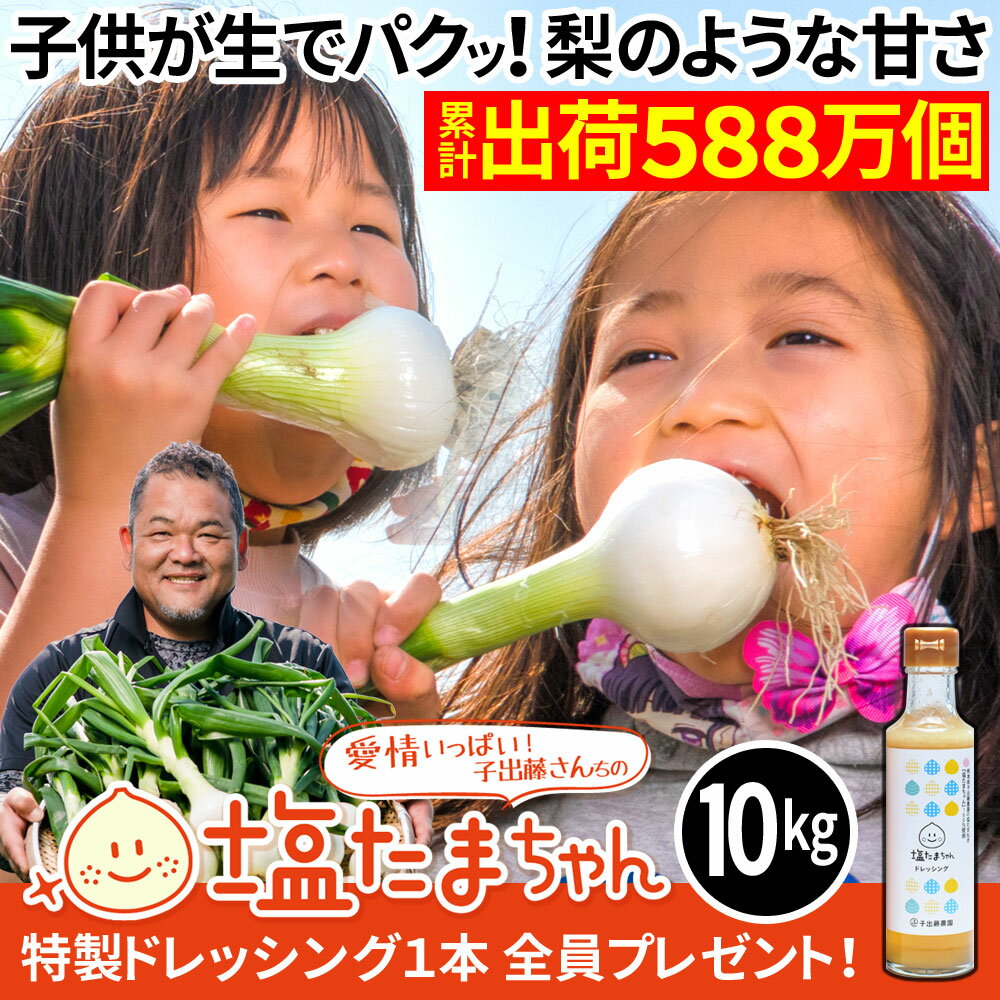 【クーポンで最大20％OFF】 TVで話題のたまねぎ 熊本県産 たまねぎ 10kg 塩たまちゃん 塩玉ちゃん 塩玉ねぎ 玉ねぎ サラダたまねぎ お取り寄せ お取り寄せグルメ 農家直送 送料無料 予約販売 【ドレッシングプレゼント中】のサムネイル