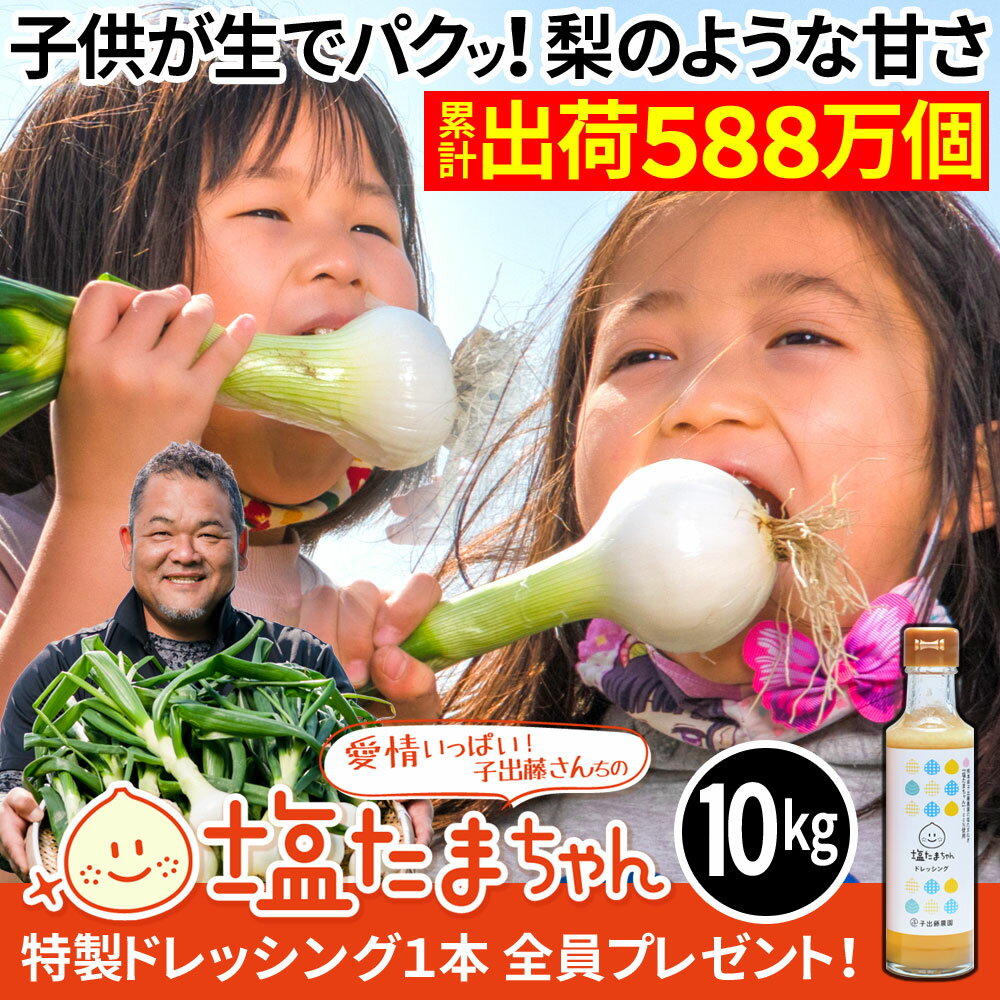 TVで話題のたまねぎ 熊本県産 たまねぎ 10kg 塩たまちゃん 塩玉ちゃん 塩玉ねぎ 玉ねぎ サラダたまねぎ..