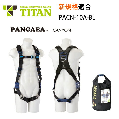 安全帯 フルハーネス 新規格 PACN-10A 墜落制止用器具 サンコー タイタン TITAN PANGAEA パンゲア CANYON キャニオン パッド付 ブラック シルバー 背中X型 腿ベルト V字 専用収納袋 3