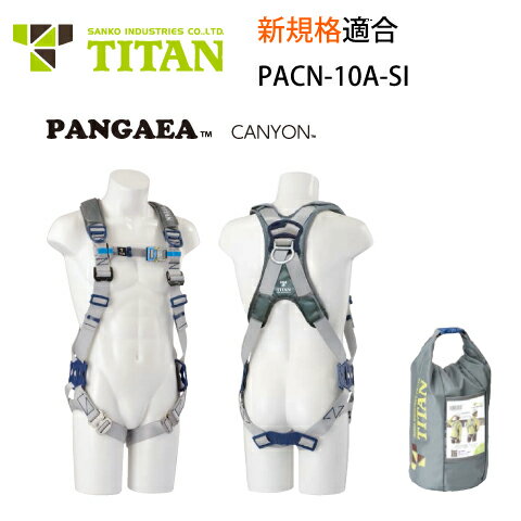 安全帯 フルハーネス 新規格 PACN-10A 墜落制止用器具 サンコー タイタン TITAN PANGAEA パンゲア CANYON キャニオン パッド付 ブラック シルバー 背中X型 腿ベルト V字 専用収納袋 2