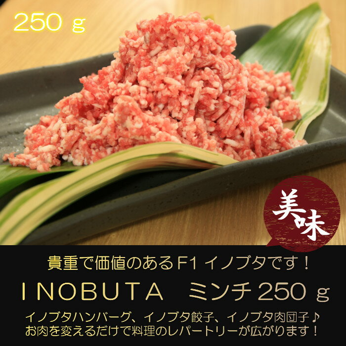 F1イノブタ ミンチ250g 和歌山県　すさみ町　国産 イブの恵み いのぶた 2〜3人前 お中元 お歳暮 猪 豚 母の日 父の日 バーベキュー ハンバーグ おうちでごちそう