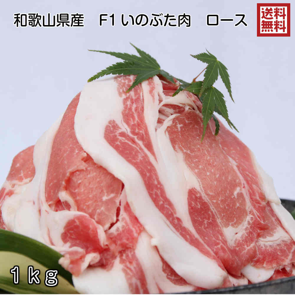 【送料無料】希少価値の高い イノブタ 肉 ロース スライス メガ盛り 1000g / 紀伊半島 和歌山県 すさみ産 イブの恵み しゃぶしゃぶ バーベキュー ヘルシー ダイエット 疲労回復 熱中症予防