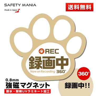 【SAFETY MANIA】録画中 肉球 車用 強磁マグネットステッカー ベージュ 12cm×11cm ドライブレコーダー搭載車両 あおり運転防止に 犬 猫 好きな方へ