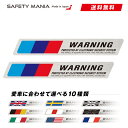 ＼今なら送料無料／ セキュリティ ステッカー WARNING 1.8x12cm 2枚セット カー セキュリティー 車 いたずら 防止 イタズラ カーセキュリティ 簡単 防犯シール 防犯ステッカー warningステッカー 耐水 強粘着 選べる10種類【SAFETY MANIA】《30日間の無料交換保証付》