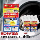 洗濯槽 クリーナー カビ取り「 根こそぎ革命 」6個セット