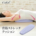 「 Cellsh セルシュ 背筋ストレッチクッション 」【 腰 肩甲骨 ストレッチ ストレッチピロー ポール 背中 ストレッチ グッズ 猫背 巻き肩 矯正グッズ 肩こり 解消グッズ ツボ押し 指圧 クッション ストレッチャー ほぐし 整体 母の日 ギフト 】