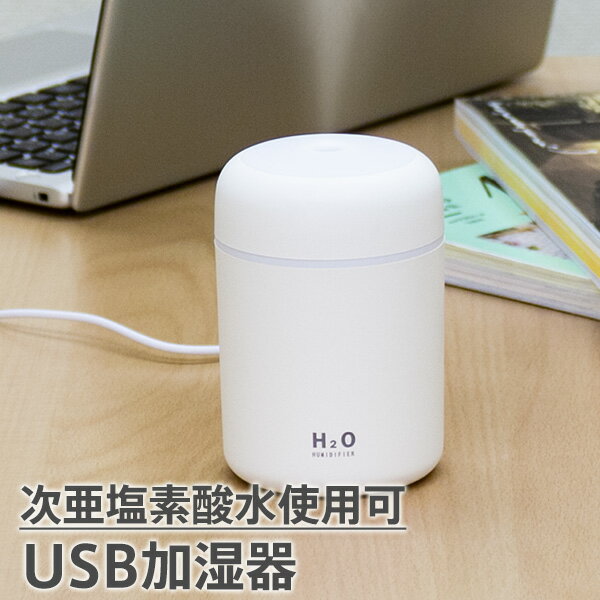 USB加湿器 次亜塩素酸水 除菌 消臭 噴霧器 車載 卓上 携帯 オフィス 寝室にも ディフューザー 空気洗浄機