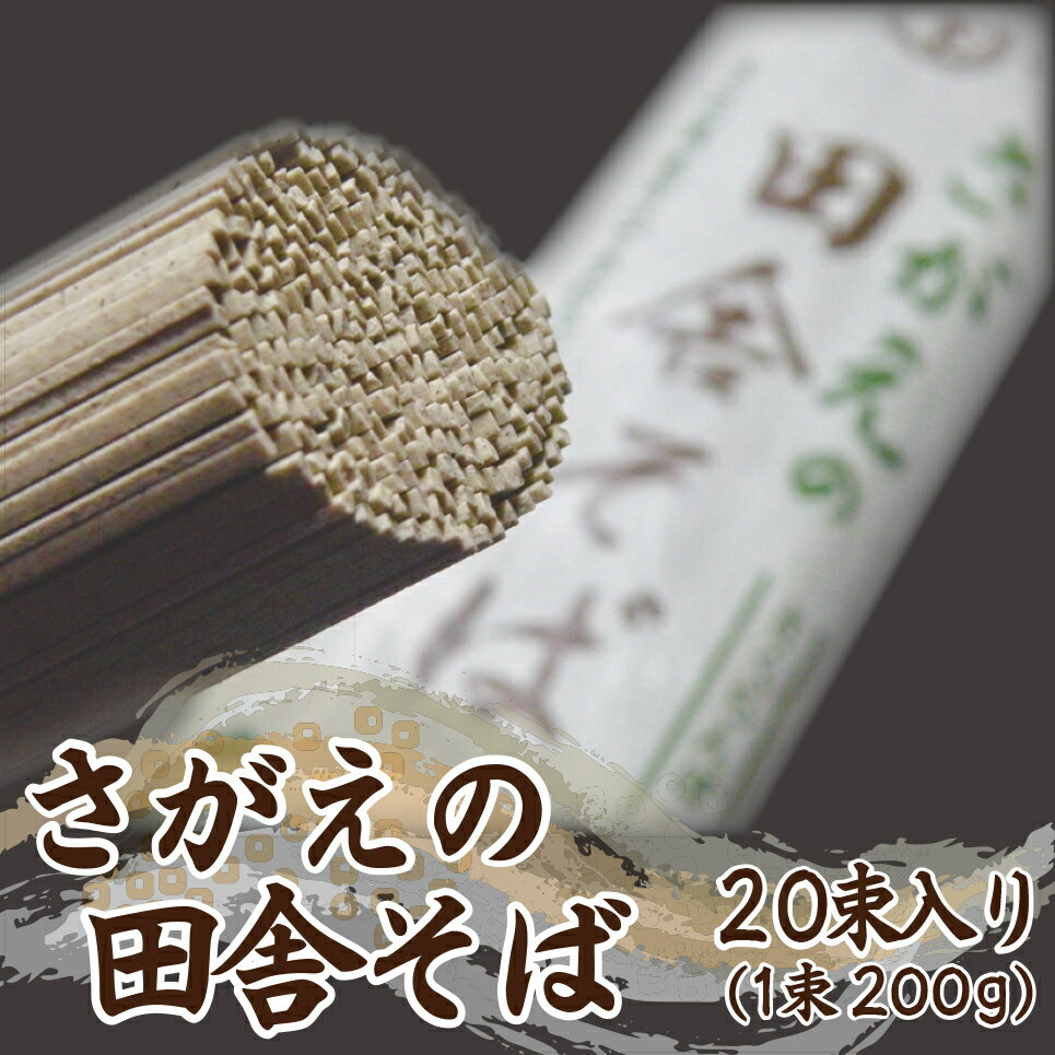 送料無料 そば 乾麺 山形 田舎そば 40人前 （200g×