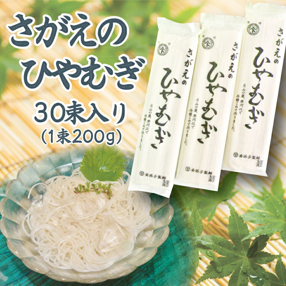 送料無料 ひやむぎ 乾麺 山形 寒河江 60人前 (200g