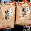 米 10kg 送料無料 はえぬき 山形県産 玄米 令和3年度産 新米 お米 5kg×2袋 数量限定
