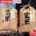 【先行予約】 米 つや姫 送料無料 令和4年産 新米 玄米 8kg 4kg×2袋 山形県産 お米 数量限定