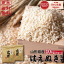 米 10kg 送料無料 令和4年産 はえぬき 山形県産 玄米 お米 5kg×2袋 山形 寒河江 直送 こめ ブランド米 2022年産