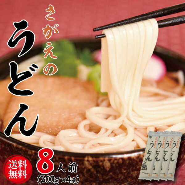 1000円ポッキリ 送料無料 グルメ食品 乾麺 お試し うどん 4束セット ポイント消化 グルメ お取り寄せグルメ 山形 寒河江 蕎麦 麺 ポスト投函