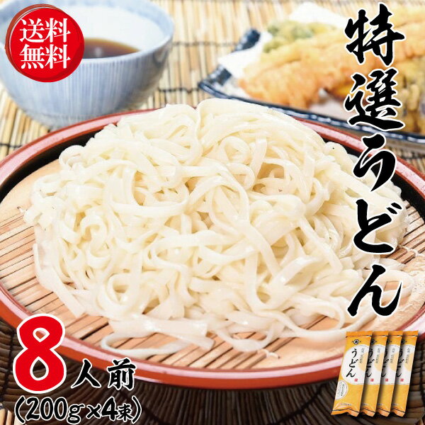 1000円ポッキリ 送料無料 グルメ食品 乾麺 うどん お試