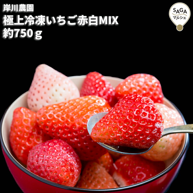 【産地直送】極上冷凍いちご赤白MIX 約750g 高級 ギフト 贈り物 食べ物 九州 佐賀 お取り寄せグルメ ストロベリー いちご狩り