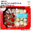 白いちごパールホワイトといちごさんセット 各1パック 高級 ギフト 贈り物 食べ物 九州 佐賀 お取り寄せグルメ ストロベリー いちご狩り