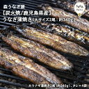 うなぎ蒲焼き（大サイズ 2尾：約340g）森うなぎ屋　国産　炭火焼　ウナギ　鰻　職人　丑の日　土用丑の日　佐賀　九州　お取り寄せ　グルメ　ギフト