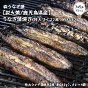 【炭火焼/鹿児島県産】うなぎ蒲焼き(特大サイズ 2尾:約340g)森うなぎ屋 国産 炭火焼 ウナギ 鰻 職人 丑の日 土用丑の日 佐賀 九州 お取り寄せ グルメ ギフト 国産 鰻 うなぎ