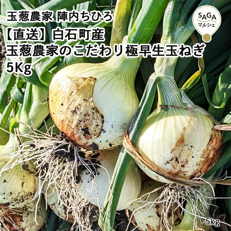 【直送】白石町産　玉葱農家のこだわり極早生玉ねぎ 5Kg 九州 お取り寄せ 佐賀 たまねぎ タマネギ