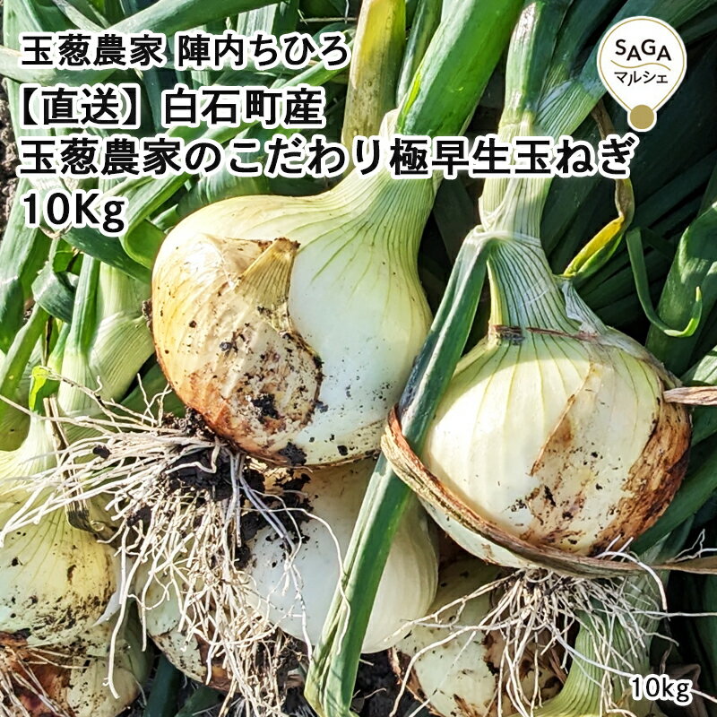 【直送】白石町産　玉葱農家のこだわり極早生玉ねぎ 10Kg 九州 お取り寄せ 佐賀 たまねぎ タマネギ