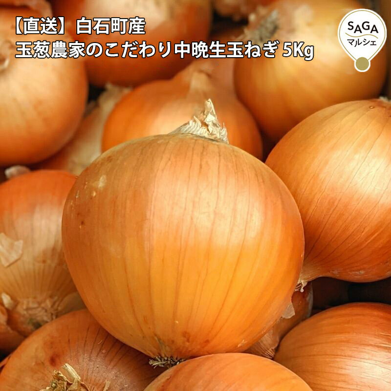 【直送】白石町産　玉葱農家のこだわり中晩生玉ねぎ 5Kg