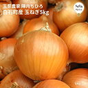 玉葱農家 陣内ちひろ 白石産 早生玉ねぎ 5kg ※サイズ・個数おまかせ 九州 佐賀 お取り寄せ 産地限定