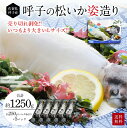 【数量限定Lサイズ】松イカ姿造り 250g×5P 呼子・CASセンター IKA ika