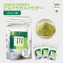 アスパラガスパウダー 300g(100g×3袋)