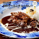 和牛テールシチューカレー 白山文雅 最高級 贈答用 ギフト 冷凍 食品 佐賀 有名店 行列店 老舗 カレー専門店 贅沢 本格カレー 佐賀牛 珍百景