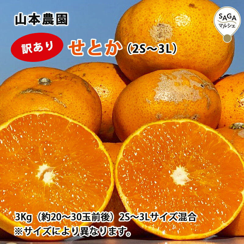 ��������ۤ��Ȥ���2S��3L��3kg�����ɡ��������� ���彣 ���� ������ ����� �ե롼�� ����