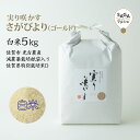 実り咲かす　さがびより（ゴールド） 白米5Kg 佐賀市 光吉農産 減農薬栽培 紙袋入り 佐賀県特別栽培米D