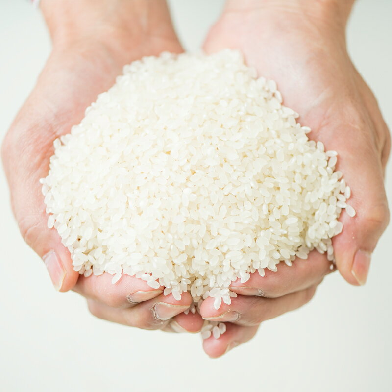 実り咲かす　さがびより（ゴールド） 白米 5Kg │ 佐賀米 ブランド米 佐賀市 光吉農産 減農薬栽培 紙袋入り 佐賀県特別栽培米D