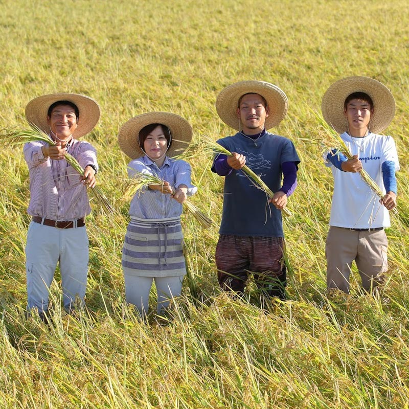 実り咲かす　夢しずく（ゴールド）玄米 5Kg 佐賀市 光吉農産 減農薬栽培 紙袋入り 佐賀県特別栽培米D