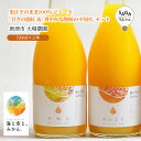 果汁そのまま100%ジュース「甘さの麗紅」&「爽やかな酸味の不知火」セット(720ml×2本)唐津市 大場農園
