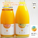 果汁そのまま100%ジュース「甘さの麗紅」&「ほろ苦旨い農6号」セット(720ml×2本)唐津市 大場農園
