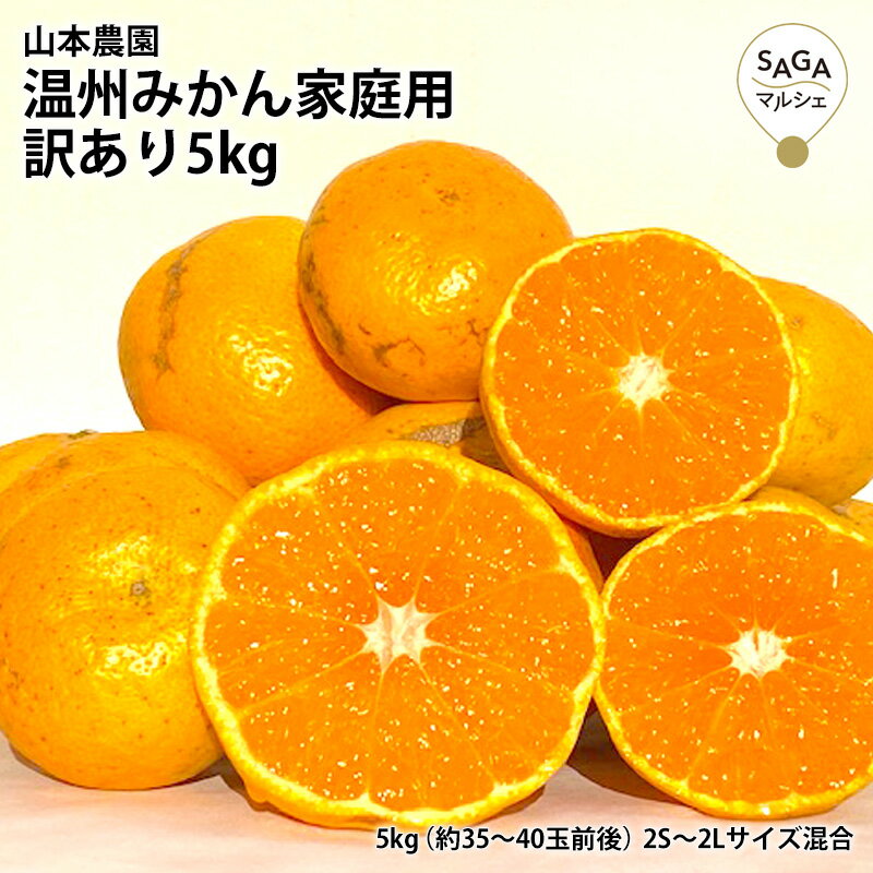 【訳あり】温州みかん家庭用訳あり5kg 温州 特用 太良みかん 九州 佐賀 お取り寄せ グルメ フルーツ 柑橘 自宅用のサムネイル