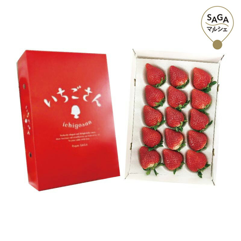 佐賀県産　いちごさん450g化粧箱入り　お届け時期：12月中旬から