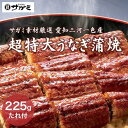 うなぎ ギフト 化粧箱入り 国産うなぎ 超特大サイズ 225g×1尾 蒲焼 無頭 三河産 ウナギ 蒲焼き 蒲焼 鰻の蒲焼 サガミ素材厳選 追いダレ 山椒付き 簡...