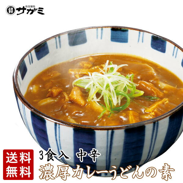 サガミ 麺屋の和ダシが利いた濃厚コク旨カレーうどんの素 お試しセット 中辛 具入り 3食入 店舗の味 和風カレー 具材入り レトルト 名古屋風 簡易包装 まとめ買い 非常食