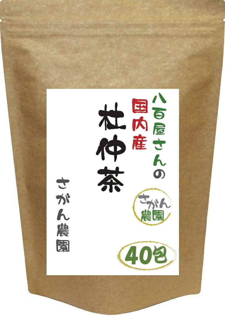 杜仲茶 国産 お得用 (3.0g×40包)【とちゅう茶 国産/杜仲茶 ティーバッグ/ノンカフェイン/ティーパック】 10P23Apr16