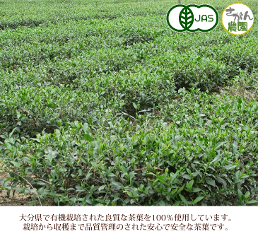 黒烏龍茶 国産 お得用 有機 100％(2.5g×40包) 【大分産 JAS認定 無農薬 オーガニック 無添加 無漂白ティーパック 黒 ウーロン茶/烏龍茶】10P09Jul16