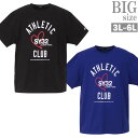 カレッジロゴ半袖Tシャツ 3L 4L 5L 6L 男 かっこいい 服 C040628-02