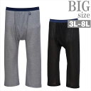 タイツ 大きいサイズ メンズ EDWIN デニスラニット ロング 肌着 下着 インナー アンダーウェア 男 かっこいい 服 C070428-03