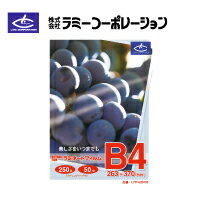 ラミーコーポレーション パックラミネートフィルム B4判（50枚/1箱） 厚手250タイプ