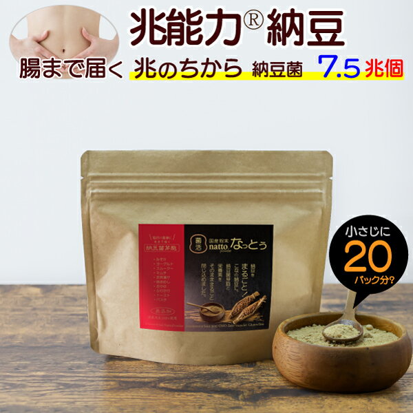 【粉末なっとう】300g (100g×3袋）◎小さじ1杯（20パック分）500億個で菌活！◎無添加 粉なっとう・国産大豆・災害時の備蓄用納豆に！-