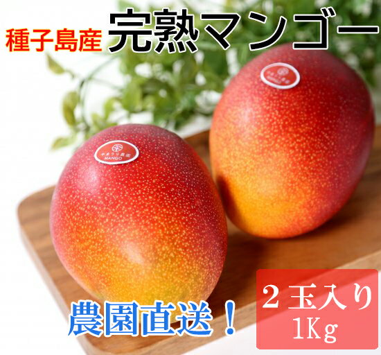 ＜予約販売＞【送料無料】種子島のやまうら農園　完熟マンゴー【2玉入り/1kg】★贈答用★