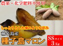 【送料無料】種子島マロン＜2Sサイズ・種子島産＞（3Kg）雨ゆき農園産　農薬・化学肥料不使用